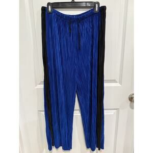 Silence + Noise Sasha Accordion Pleat Culotte Pant Royal Blue Size Large